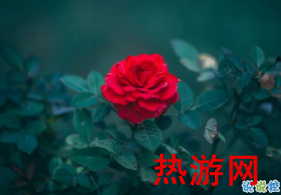 妈妈生日祝福语简短独特 妈妈生日快乐微信朋友圈说说20191