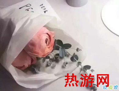 怎么向女朋友表示歉意 向女友道歉的话很真诚1