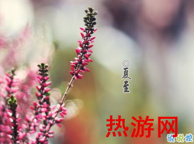 2019夏至早安心语说说大全 夏至快乐祝福语说说1