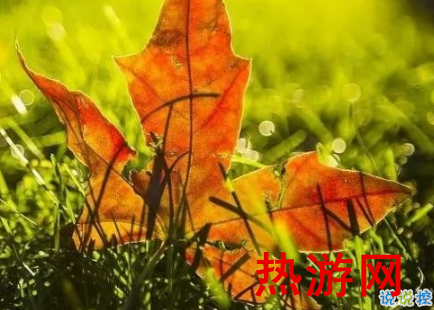 立秋说说大全朋友圈 2019立秋节气说说心情短语2