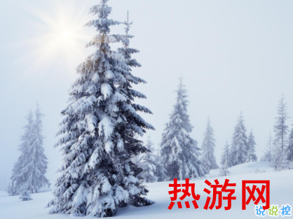 适合下雪发朋友圈的文案 下雪天一句话说说大全2