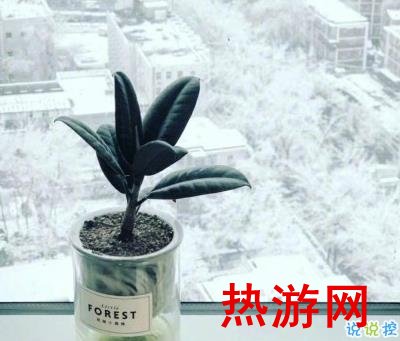 2020下雪天文案浪漫诗意 我与飘雪一同来见你1