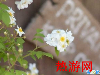 夏天心情说说温柔短句 十分温柔唯美的夏日说说2