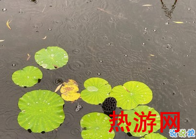 下雨天句子有点丧 思念无果大雨滂沱2