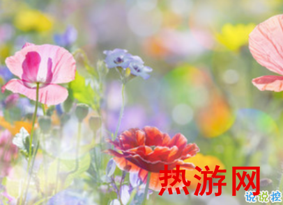 2019立夏节气心情说说大全 今日立夏的朋友圈说说2