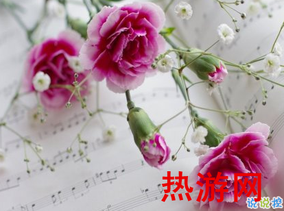 2019母亲节给婆婆的祝福语大全 母亲节送花祝福语1