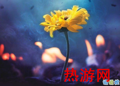 朋友圈人气爆棚的说说2019 好听吸引人的微信说说1