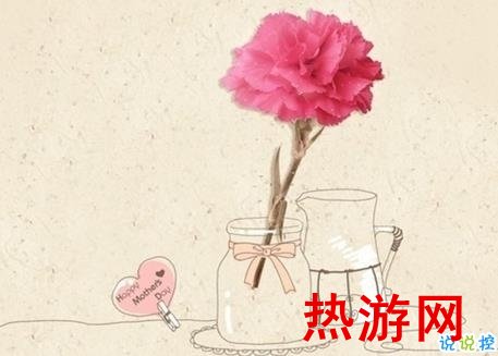 2019母亲节祝福语给妈妈和婆婆的 母亲节送康乃馨祝福语1