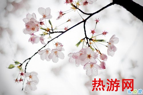 2019清明节祝福语说说大全 清明节祝福语简短优美2