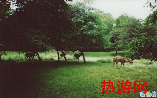 孤独的人在深夜里独自思考的心情说说 思考人生的心情说说发朋友圈2