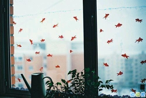 关于青春成长的哲理虽然简单一句话但是很有道理的说说带图片1