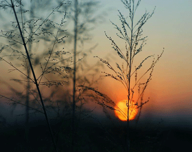温柔唯美的日落句子带图片 私奔吗在太阳落山前11