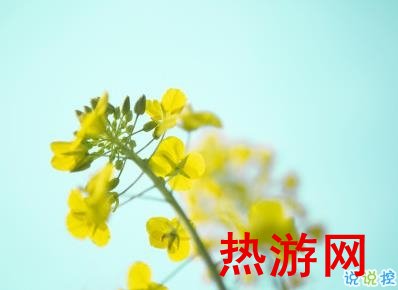 好美的油菜花说说带图片 油菜花唯美说说配图4