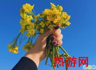 好美的油菜花说说带图片 油菜花唯美说说配图8