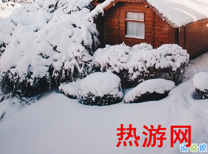 朋友圈晒雪景的句子带图片 下雪说说唯美简短配图3