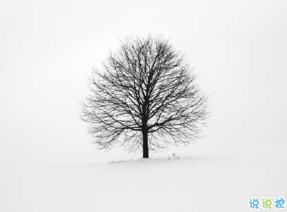 朋友圈下雪说说幽默带图片 下雪天搞笑说说短语5