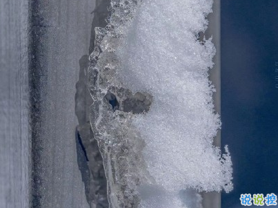 朋友圈下雪说说幽默带图片 下雪天搞笑说说短语9