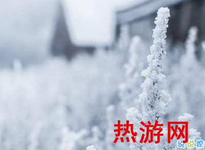 冬天下雪天文案唯美带图片 抖音最火下雪天说说1