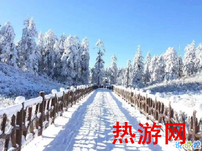 2020下雪天朋友圈文案带图片 雪景说说唯美浪漫4