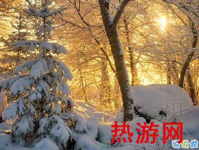 2020下雪天朋友圈文案带图片 雪景说说唯美浪漫3