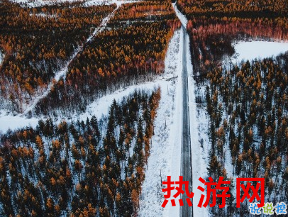 2020下雪天朋友圈文案带图片 雪景说说唯美浪漫8