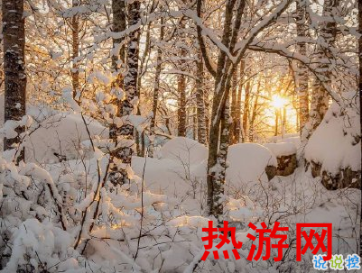 2020下雪天朋友圈文案带图片 雪景说说唯美浪漫11