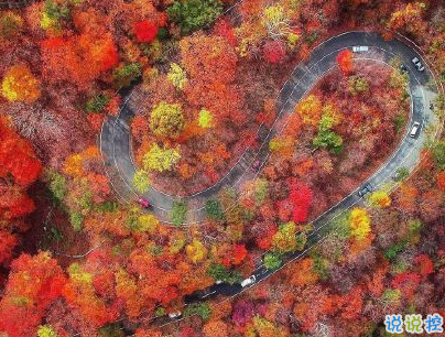 外面大风的句子说说带图片 风太大的心情短语发朋友圈6