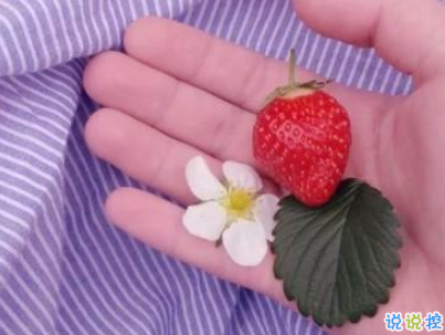 快手公布对象说说精选带图片 公布恋爱关系的说说5