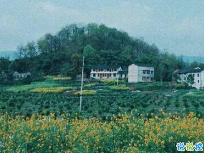 快手公布对象说说精选带图片 公布恋爱关系的说说12