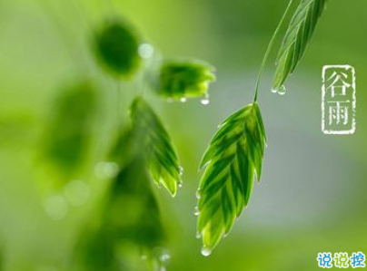 2019谷雨朋友圈说说配图 谷雨节发朋友圈的说说优美5