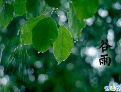 2019谷雨朋友圈说说配图 谷雨节发朋友圈的说说优美14