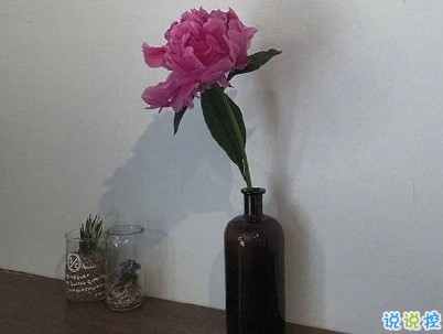 2019五月份表白的甜句子配图 深情而温暖的表白情话6