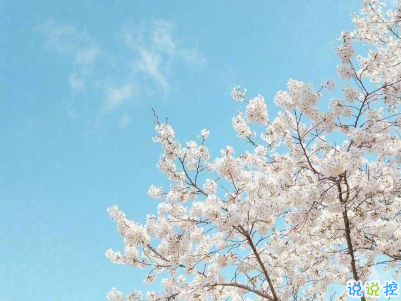 2019五月份表白的甜句子配图 深情而温暖的表白情话3