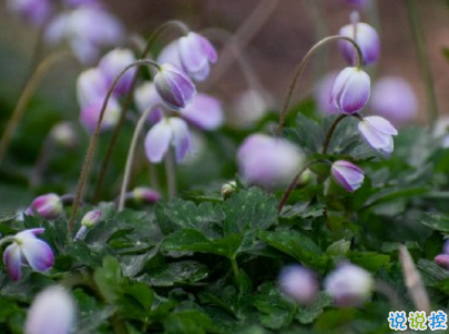 2019五一放假说说心情短语配图 五一到了假期心情说说3