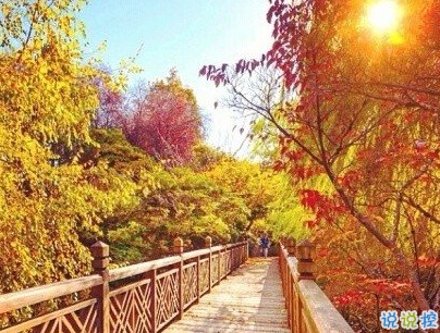 2019五一放假说说心情短语配图 五一到了假期心情说说7