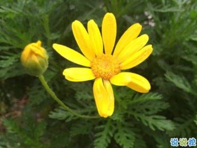 2019五一放假说说心情短语配图 五一到了假期心情说说13