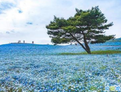 2019五一放假说说心情短语配图 五一到了假期心情说说14