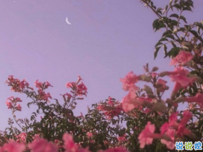 微信早安问候语简短带图片 2019早安暖心话十字以内12