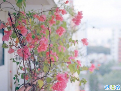 微信早安问候语简短带图片 2019早安暖心话十字以内1