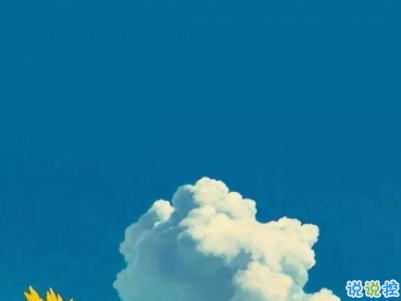 微信早安问候语简短带图片 2019早安暖心话十字以内4