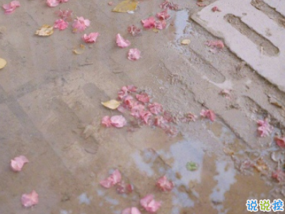 微信早安问候语简短带图片 2019早安暖心话十字以内5