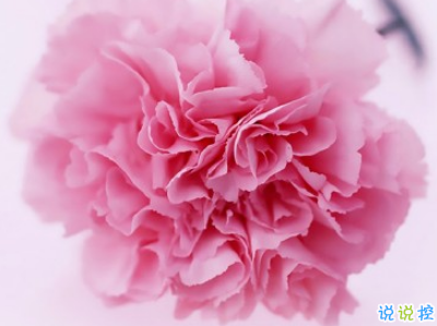 2021母亲节感恩祝福语带图片 母亲节的暖心话逗妈妈开心14