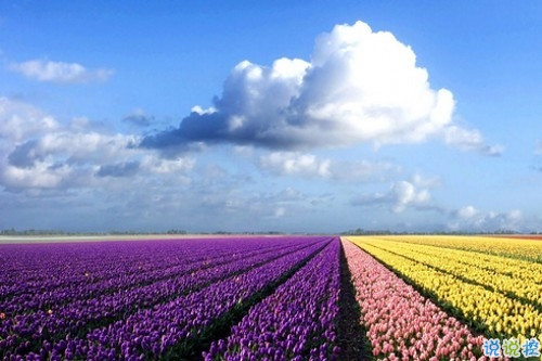 2019女生节微信说说大全带图片 三七女生节朋友圈祝福语说说9