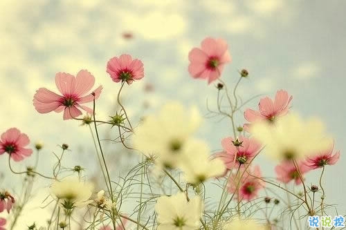 异地恋的酸甜苦辣说说大全带图片 关于异地恋的微信说说8