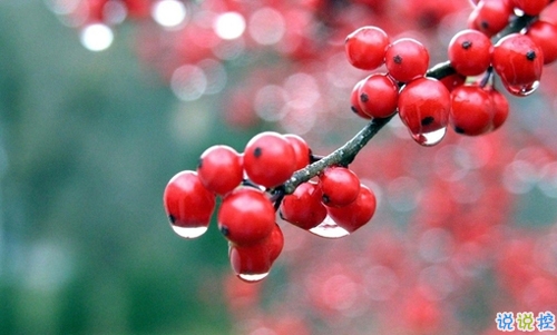 朋友圈晒美食的搞笑说说带图片 关于吃货的说说简短精辟201910