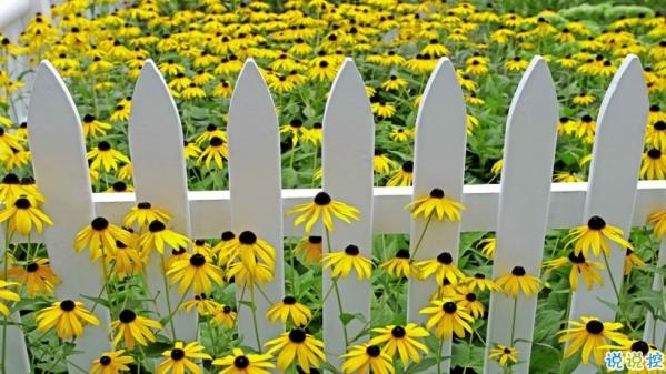 心里甜蜜蜜的爱情说说带图片 爱情说说一辈子只爱你8