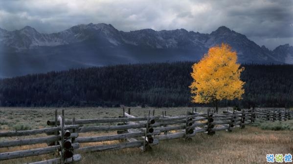 心里甜蜜蜜的爱情说说带图片 爱情说说一辈子只爱你10