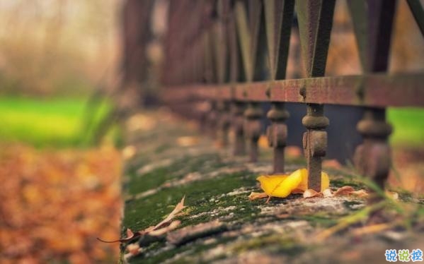 心里甜蜜蜜的爱情说说带图片 爱情说说一辈子只爱你11