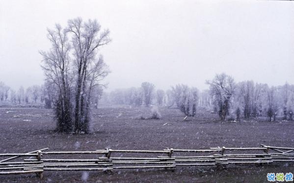 心里甜蜜蜜的爱情说说带图片 爱情说说一辈子只爱你15