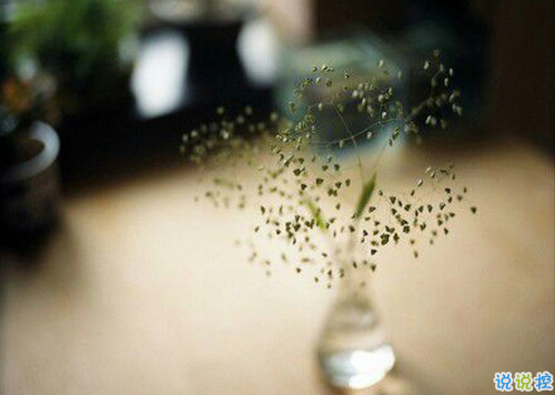 抖音朋友圈可爱说说大全带图片 搞怪女生说说超级独特精辟2